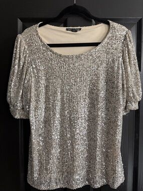 Cable & Gauge Silver Sequin Short Sleeve Scoop Neck Top